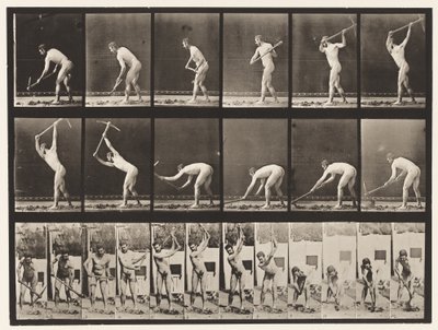 Tabliczka 385. Rolnik, używanie kilofa, 1872-1885 autorstwa Eadweard Muybridge
