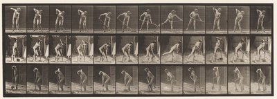 Tabliczka 387. Rolnik używający łopaty o długiej rękojeści autorstwa Eadweard Muybridge