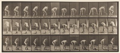 Tabliczka 388. Rolnik, używając łopaty, 1872-1885 autorstwa Eadweard Muybridge
