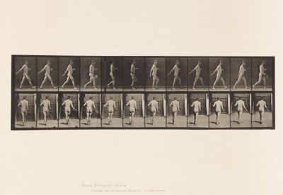 Talerz 389. Rolnik, Rozrzucanie nasion, 1872-1885 autorstwa Eadweard Muybridge