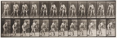 Tabliczka 391. Rolnik, koszenie trawy autorstwa Eadweard Muybridge