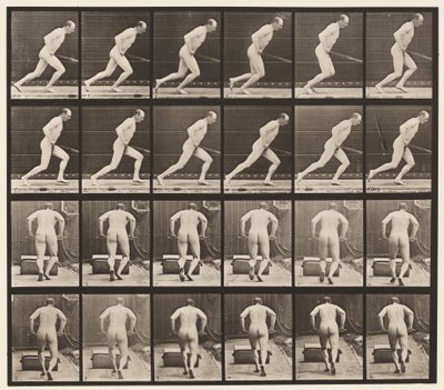 Płyta 393. Pchanie wałka ogrodowego, 1872-1885 autorstwa Eadweard Muybridge