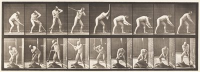 Talerz 396. Walenie młotkiem autorstwa Eadweard Muybridge