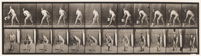 Tablica 398. Podnoszenie wiadra wody do opróżnienia, 1872-1885 autorstwa Eadweard Muybridge