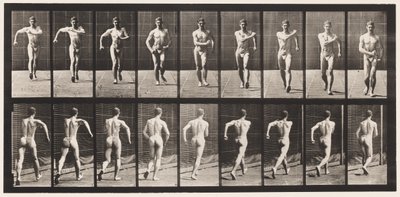 Płyta 3. Chodzenie autorstwa Eadweard Muybridge
