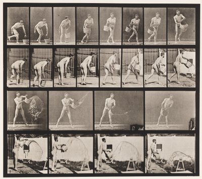 Talerz 400. Wiadro opróżniania wody, 1872-1885 autorstwa Eadweard Muybridge