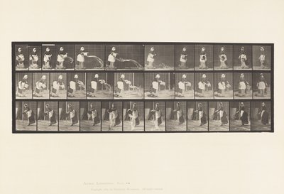 Płyta 404. Opróżnianie wiadra na wodę, 1885 autorstwa Eadweard Muybridge