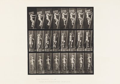 Tablica 405. Wnoszenie cegieł po drabinie, 1872-1885 autorstwa Eadweard Muybridge