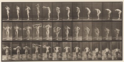 Płyta 414. Wycieranie ciała ręcznikiem autorstwa Eadweard Muybridge