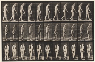 Płyta 42. Chodzenie, wylewanie wody z dzbana autorstwa Eadweard Muybridge