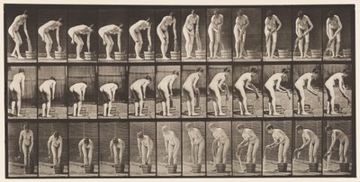Talerz 433. Wyżymanie ubrań autorstwa Eadweard Muybridge