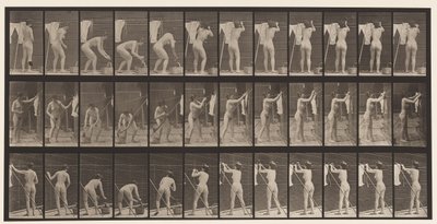 Talerz 434. Wiszące ubrania na sznurku, 1872-1885 autorstwa Eadweard Muybridge