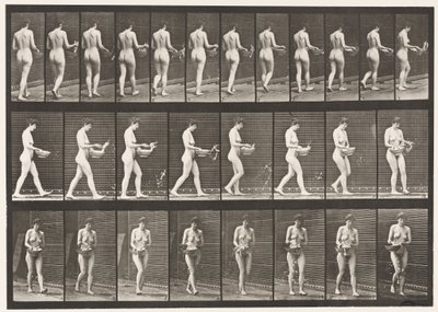 Płyta 43. Chodzenie, kropienie wodą z basenu, odwracanie się autorstwa Eadweard Muybridge