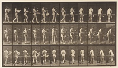 Talerz 441. Noś wazon i kładź go na stole, 1872-1885 autorstwa Eadweard Muybridge