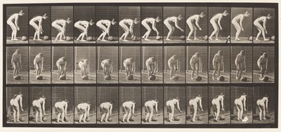 Płyta 442. Pochylanie się i toczenie kamienia po ziemi autorstwa Eadweard Muybridge