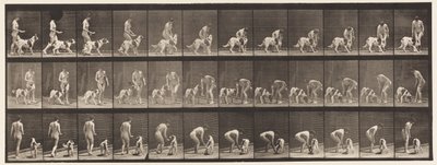 Talerz 449. Karmienie psa autorstwa Eadweard Muybridge