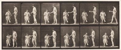 Talerz 450. Dwa modele, 8 filiżanek herbaty, 1 filiżanka i napoje, 1872-1885 autorstwa Eadweard Muybridge