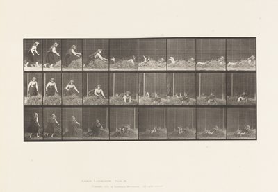 Płyta 455. Rzucanie się na stertę siana autorstwa Eadweard Muybridge