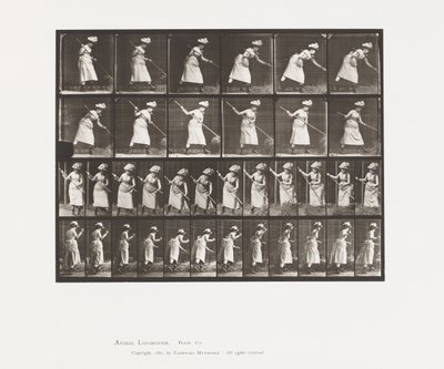 Płyta 456. Ranking to 165 autorstwa Eadweard Muybridge
