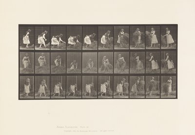 Tabliczka 458. Podnoszenie garści siana, obracanie, rzucanie autorstwa Eadweard Muybridge