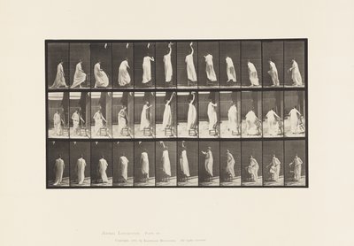 Płyta 459. Wchodzenie na krzesło, wchodzenie i schodzenie, 1885 autorstwa Eadweard Muybridge