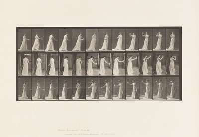 Tablica 462. Wylewanie libacji na ziemię, picie z kielicha, 1885 autorstwa Eadweard Muybridge