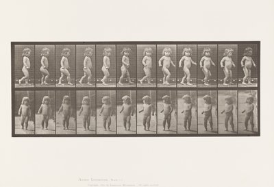 Tabliczka 468. Dziecko, chodzenie autorstwa Eadweard Muybridge