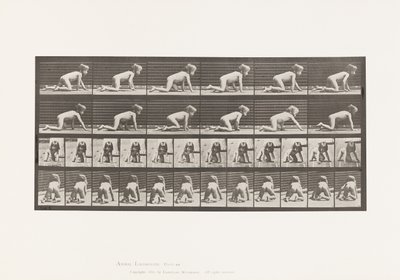 Tabliczka 471. Dziecko, Czołganie się na rękach i kolanach, 1885 autorstwa Eadweard Muybridge