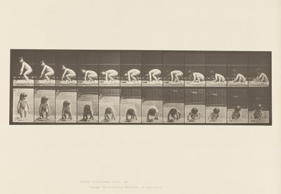 Tablica 479. Dziecko, Wstawanie z ziemi autorstwa Eadweard Muybridge