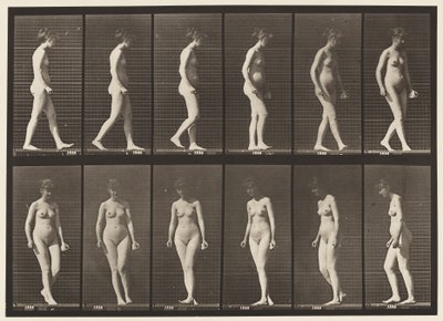 Płyta 47. Chodzenie i odwracanie się autorstwa Eadweard Muybridge