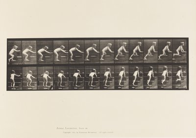 Płyta 480. Dziecko, chodzenie i czołganie się po schodach autorstwa Eadweard Muybridge