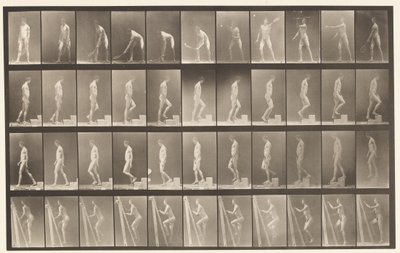 Płyta 486. A, Tenis na trawniku; B, Wstępując o stopień;, 1872-1885 autorstwa Eadweard Muybridge