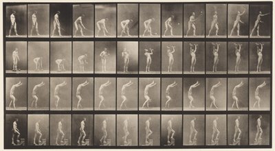 Tablica 488. A, Tenis na trawniku; B, głupie dzwony; C, Chodzenie na rękach;, 1872-1885 autorstwa Eadweard Muybridge