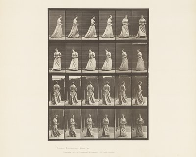 Tablica 48. Chodzenie i obracanie się Bukiet na obie ręce, 1885 autorstwa Eadweard Muybridge