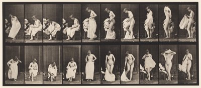 Tablica 498. Różne fazy toalety, 1872-1885 autorstwa Eadweard Muybridge