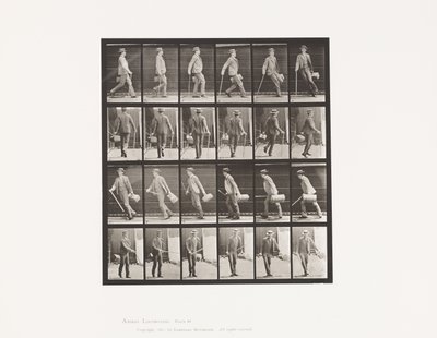 Płyta 49. Chodzenie i szybkie obracanie się autorstwa Eadweard Muybridge