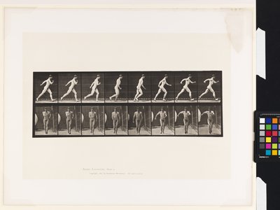 Płyta 4. Chodzenie autorstwa Eadweard Muybridge