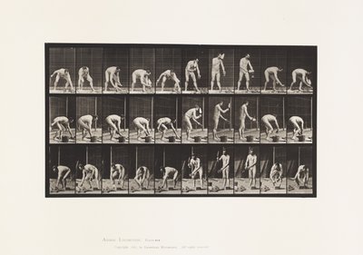 Płyta 506. Murowanie autorstwa Eadweard Muybridge