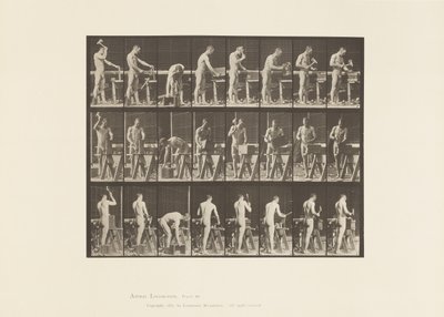 Płyta 507. Stolarstwo autorstwa Eadweard Muybridge