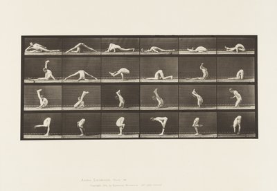 Tablica 510. Wykrzywienia na ziemi, 1872-1885 autorstwa Eadweard Muybridge