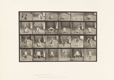 Płyta 511. Wykrzywienia na ziemi autorstwa Eadweard Muybridge
