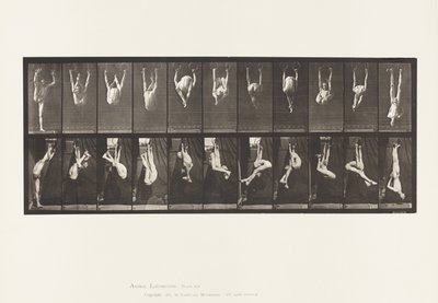 Płyta 512. Wykrzywienia na pierścieniach autorstwa Eadweard Muybridge