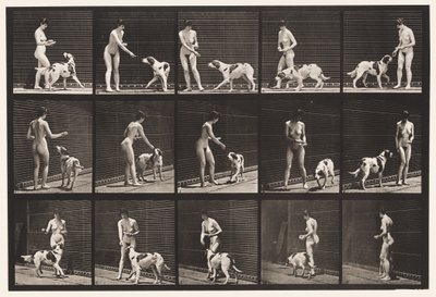 Talerz 514. Karmienie psa autorstwa Eadweard Muybridge