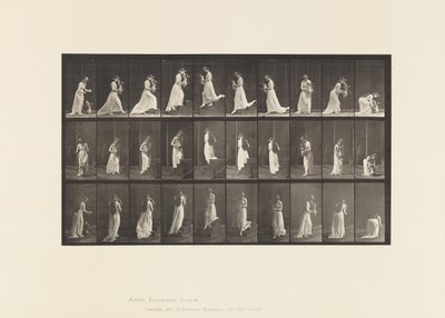 Płyta 515. Schody wstępujące i zstępujące itp., 1885 r. autorstwa Eadweard Muybridge