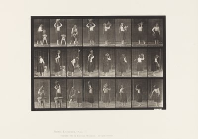 Talerz 517. Różne ruchy ze dzbanem na wodę autorstwa Eadweard Muybridge