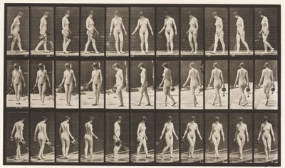 Płyta 51. Chodzenie i odwracanie się, używanie garnka do krojenia, 1872-1885 autorstwa Eadweard Muybridge