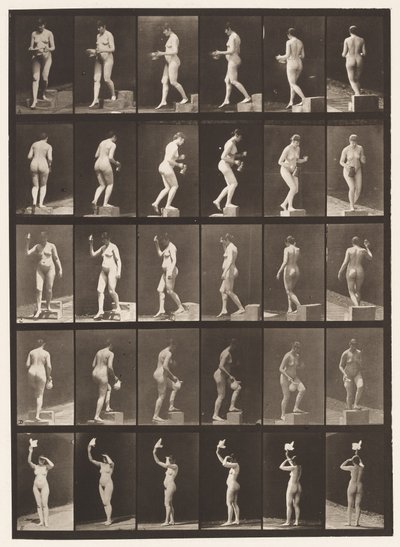 Płyta 525. A, stopień opadający; B, stopień wstępujący;, 1872-1885 autorstwa Eadweard Muybridge