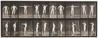 Talerz 529. Różne pozy autorstwa Eadweard Muybridge