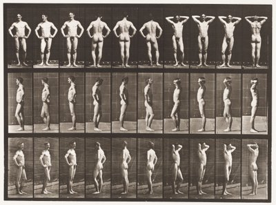 Talerz 530. Różne pozy autorstwa Eadweard Muybridge
