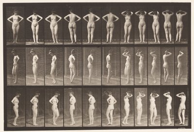 Płyta 531. Różne pozy autorstwa Eadweard Muybridge